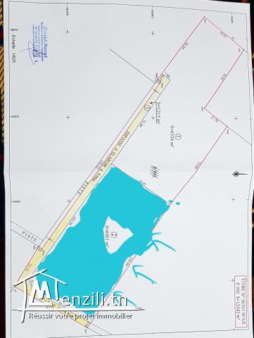 Terrain rectangulaire