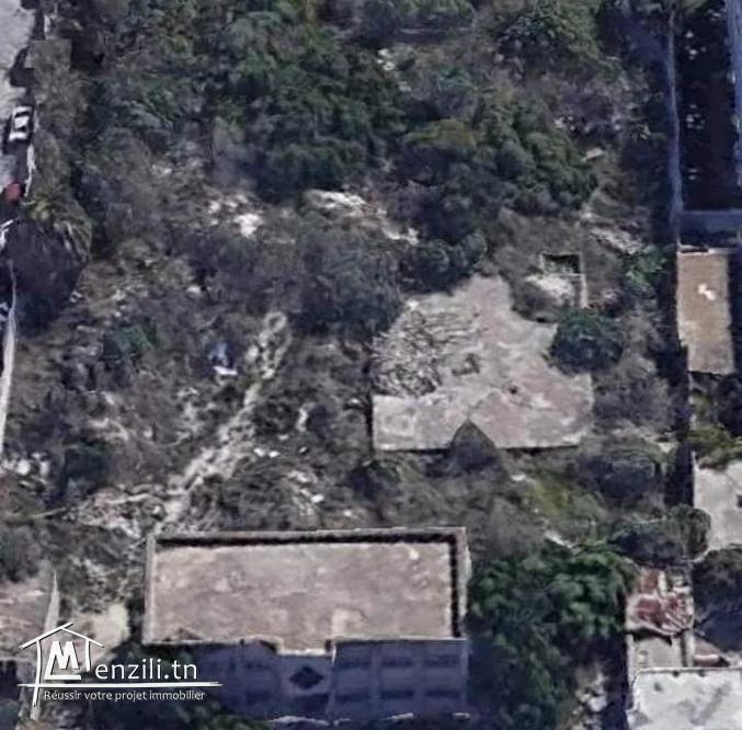 Terrain à vendre dans une belle emplacement