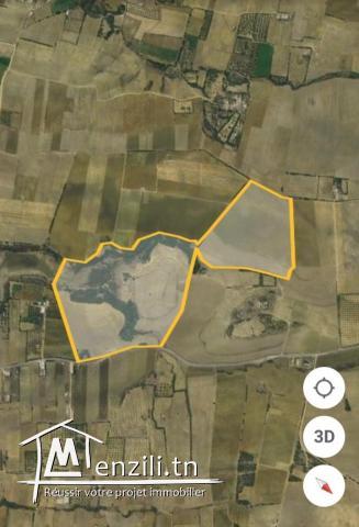 Terrain de 396000m2 agricole à kelibia