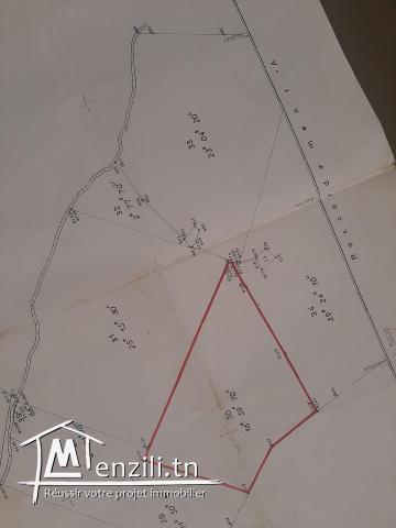 Terrain de 396000m2 agricole à kelibia