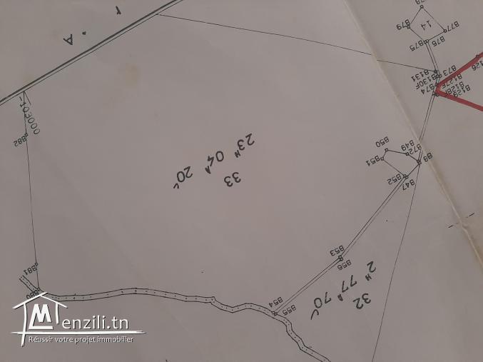 Terrain de 396000m2 agricole à kelibia
