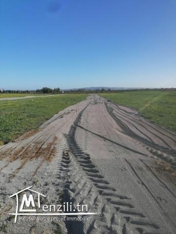 Lots de terrains constructibles