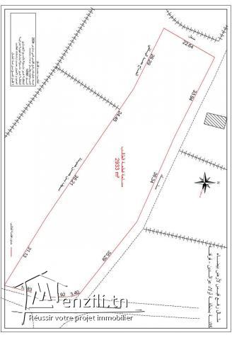 Terrain à vendre à Kerkenah de 2933 m2