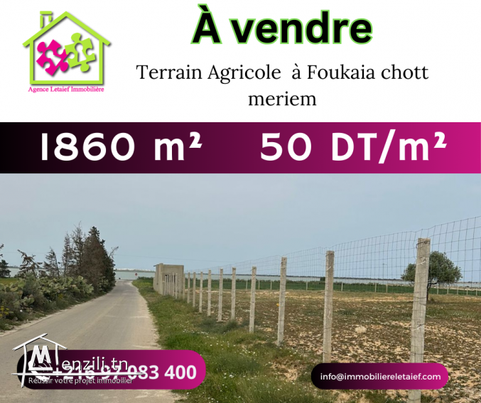 un Terrain  Agricole 1860 m2 sur la route goudronnée foukaia