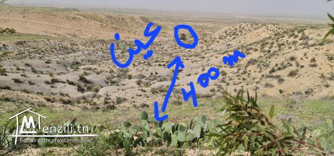 سانية بتالة ferme