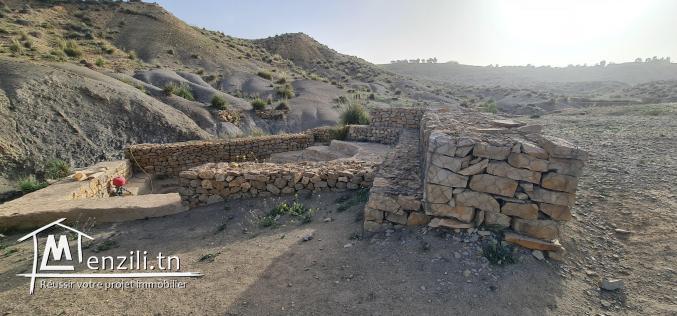 سانية بتالة ferme