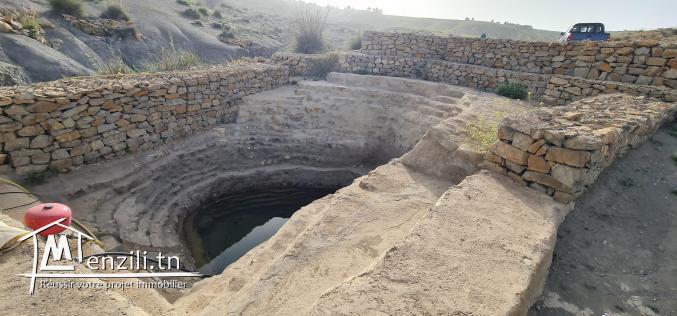 سانية بتالة ferme