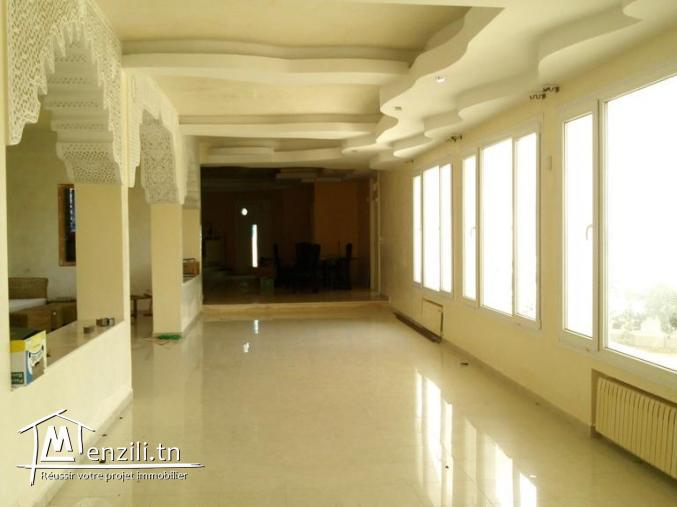 villa sur un terrain de 8752 m²  avec piscine  a vendre