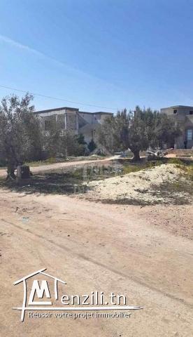 Lot de terrain de 250 m² à vendre à Hammamet Sud 51355351