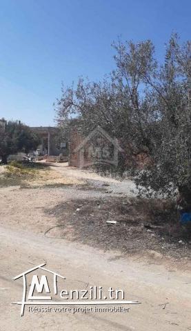 Lot de terrain de 250 m² à vendre à Hammamet Sud 51355351