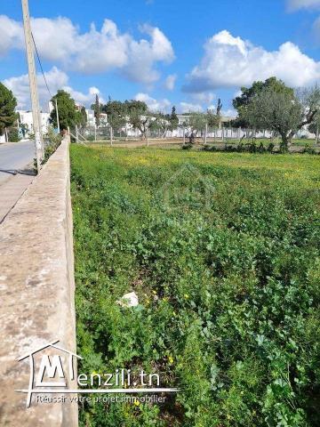Terrain viabilisé de 591 m² à vendre à Hammamet centre ville 51355351