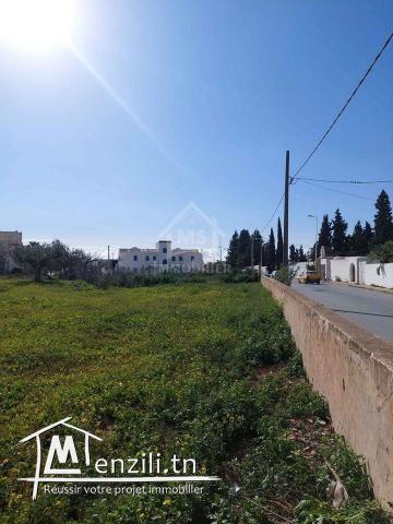 Terrain viabilisé de 591 m² à vendre à Hammamet centre ville 51355351