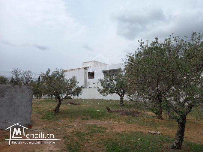 Terrain de 200 m² à Hammamet Nord à vendre 51355351