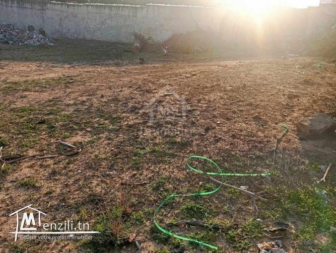 Superbe terrain de 650 m² à Hammamet Nord à vendre 51355351