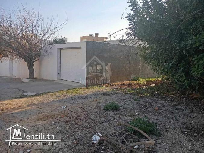 Superbe terrain de 650 m² à Hammamet Nord à vendre 51355351
