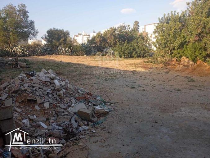 Superbe terrain de 650 m² à Hammamet Nord à vendre 51355351