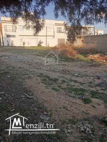 Superbe terrain de 650 m² à Hammamet Nord à vendre 51355351