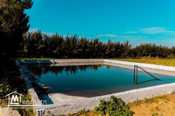 7 hectar à bou argoub el kharrouba nabeul