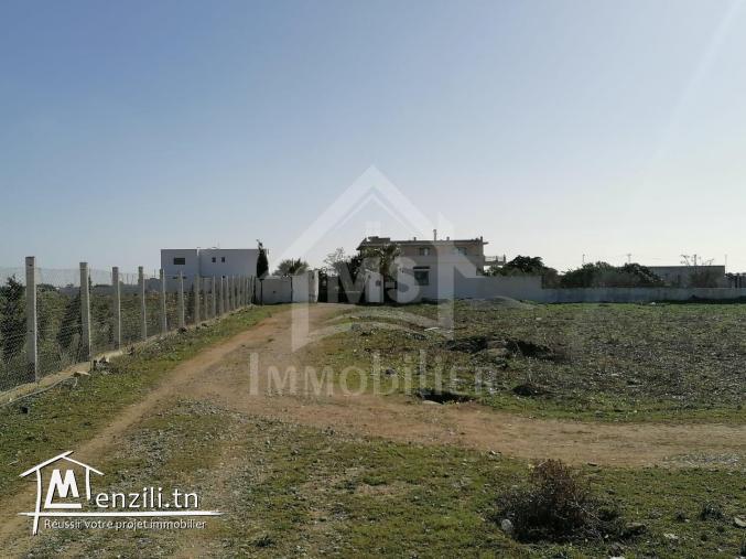Terrain de 572 m² à vendre à 90 MD à Hammamet Sud 51355351