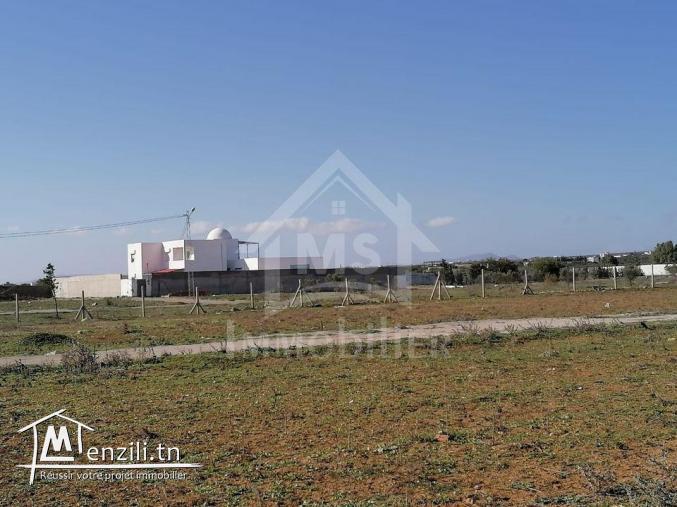 Terrain de 572 m² à vendre à 90 MD à Hammamet Sud 51355351