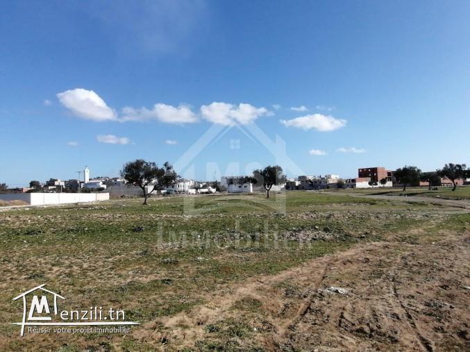 Lot de terrain de 258 m² à vendre à 55 MD à Hammamet 51355351