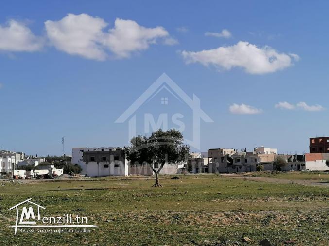 Lot de terrain de 258 m² à vendre à 55 MD à Hammamet 51355351