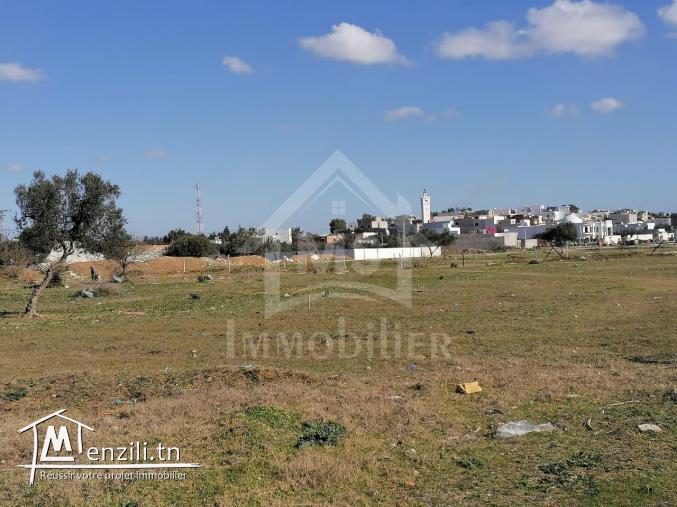 Lot de terrain de 258 m² à vendre à 55 MD à Hammamet 51355351