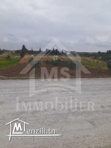 Terrain de 2200 m² à vendre à Hammamet Sud 51355351