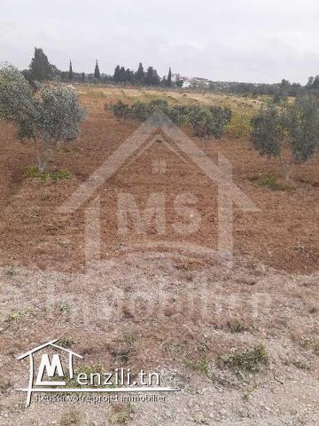 Terrain de 2200 m² à vendre à Hammamet Sud 51355351