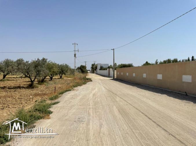 Opportunité à ne pas ratter, à vendre un terrain à bas prix