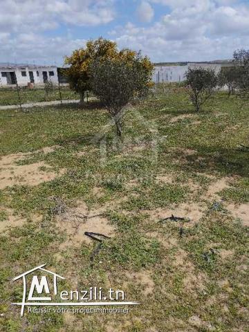 Lot de terrain de 500 m² à vendre à 50 MD à Hammamet Sud 51355351