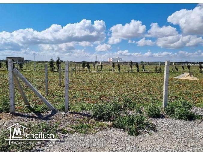 Un terrain clôturé de 1000 m² à vendre à Hammamet Sud 51355351