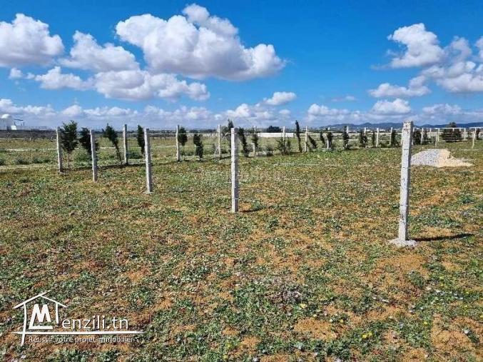 Un terrain clôturé de 1000 m² à vendre à Hammamet Sud 51355351