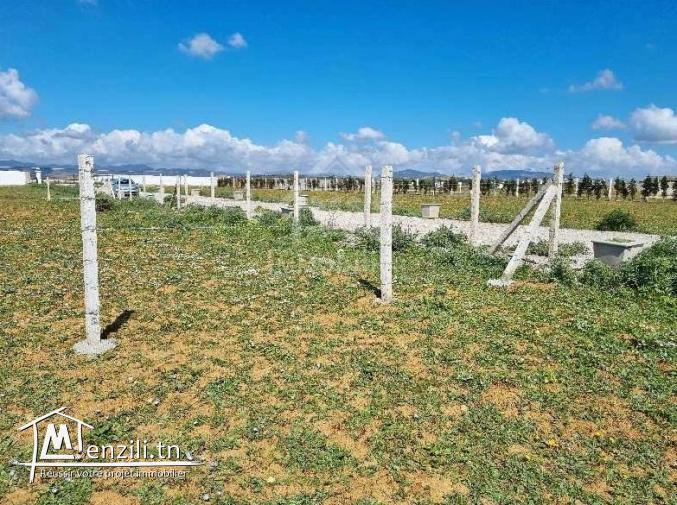 Un terrain clôturé de 1000 m² à vendre à Hammamet Sud 51355351