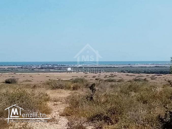 Un terrain avec vue de mer de 2000 m² à Hammamet Sud à vendre 51355351