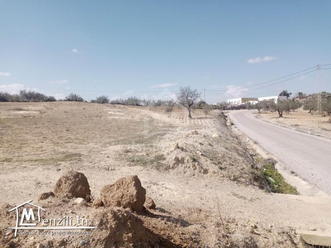 Terrain de 2800 m² à Hammamet Sud à vendre 51355351