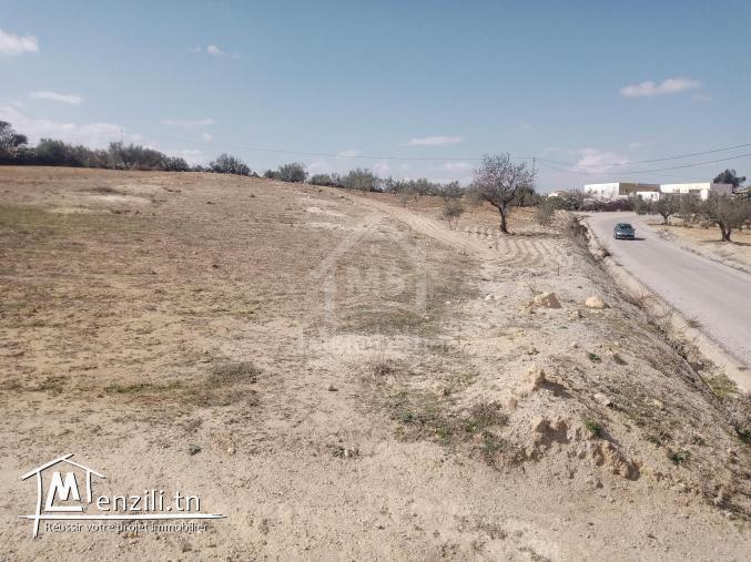 Terrain de 2800 m² à Hammamet Sud à vendre 51355351