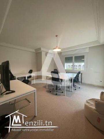 location villa avec piscine au lac 1