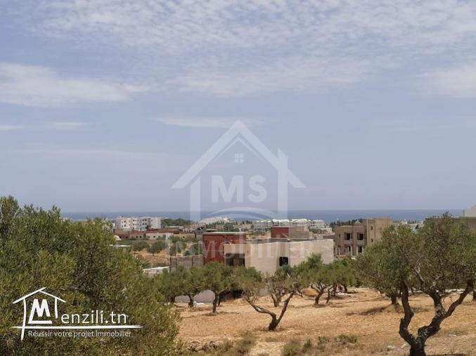 Des lots de terrain vue de mer à Mrezga à vendre 51355351