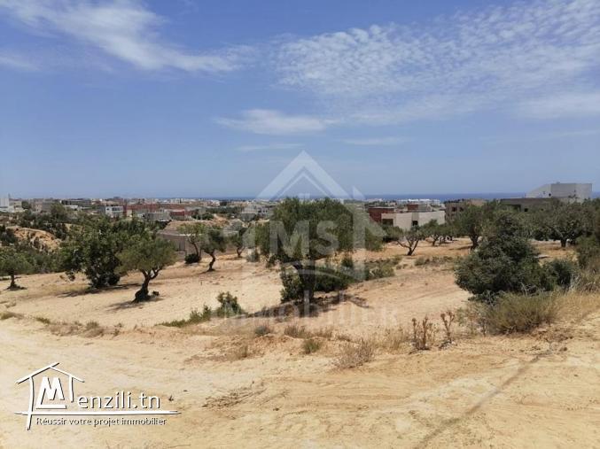 Des lots de terrain vue de mer à Mrezga à vendre 51355351