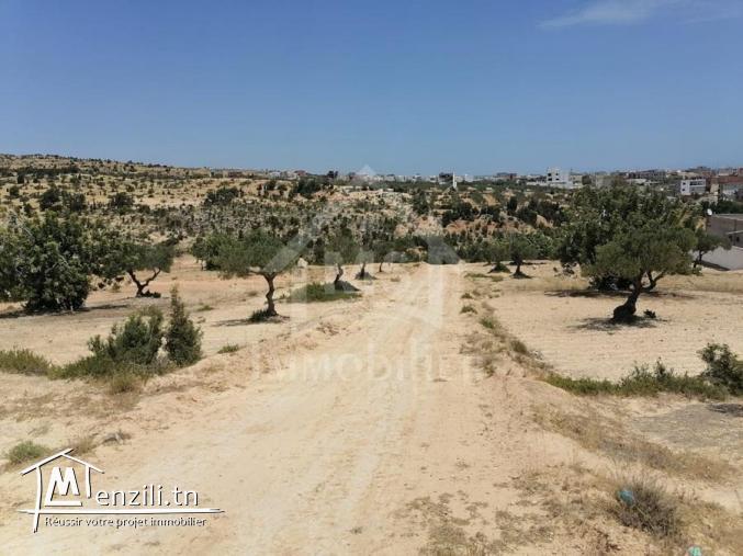 Des lots de terrain vue de mer à Mrezga à vendre 51355351