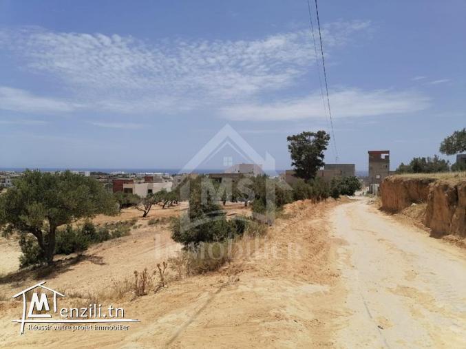 Des lots de terrain vue de mer à Mrezga à vendre 51355351