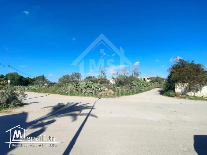 Un terrain de 210 m² à Hammamet à vendre à 180 MD 51355351