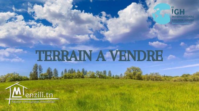 Vente par 1000 m² de 11 lots à Utique