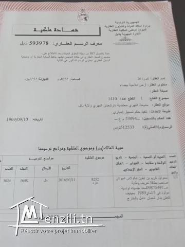 Occasion à ne pas rater