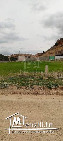 Superbe terrain de 3745 m² à Hammamet Sud à vendre 51355351