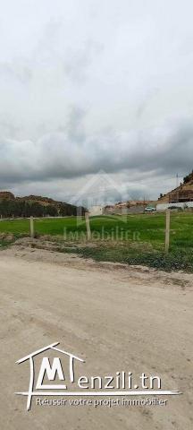 Superbe terrain de 3745 m² à Hammamet Sud à vendre 51355351