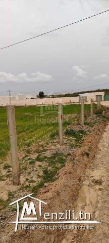 Superbe terrain de 3745 m² à Hammamet Sud à vendre 51355351