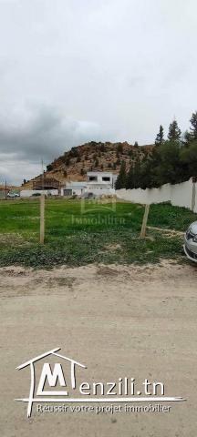 Superbe terrain de 3745 m² à Hammamet Sud à vendre 51355351