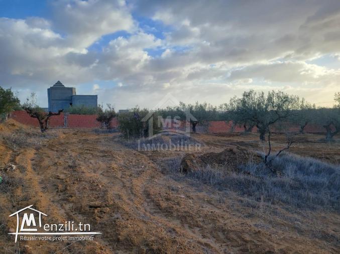 Terrain de 1800 m² à vendre à 125 MD à Hammamet Sud 51355351